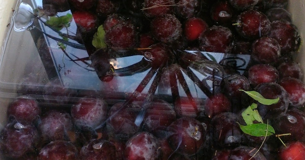 Doing Things Backwards Steam Juicing Plums For The First Time EASY 5 Steps